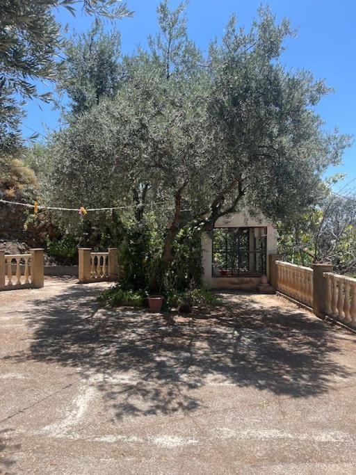 Farmhouse Surrounded By Centenary Olive Trees Olías Eksteriør billede